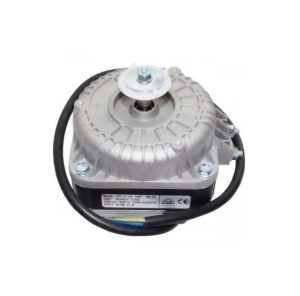 FR MOTOR 10W YZF WEIGUANG