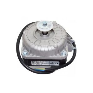 FR MOTOR 10W YZF WEIGUANG